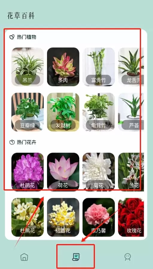 花之灵