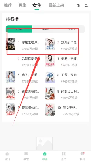 凤梨小说