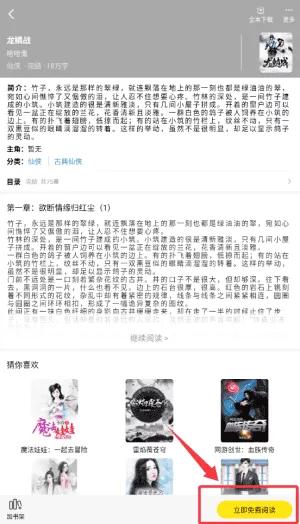 飞猫免费小说