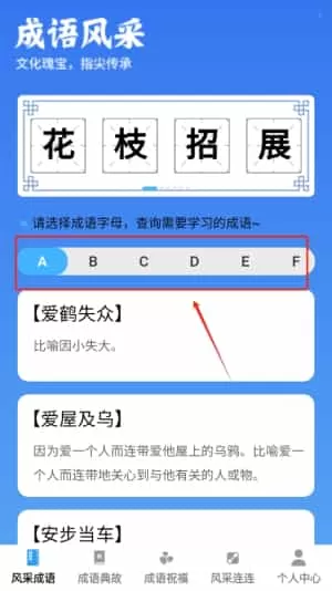 风采成语