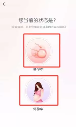 好孕计划