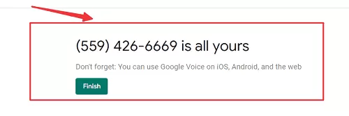 Google Voice