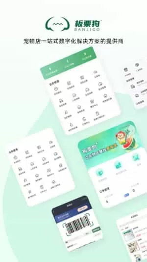 板栗狗