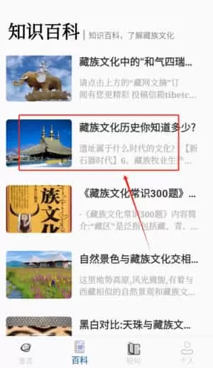 藏文翻译