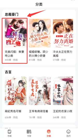 畅听免费小说