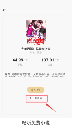 畅听免费小说