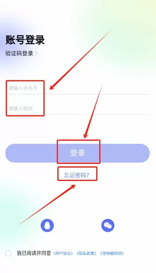 宠物志