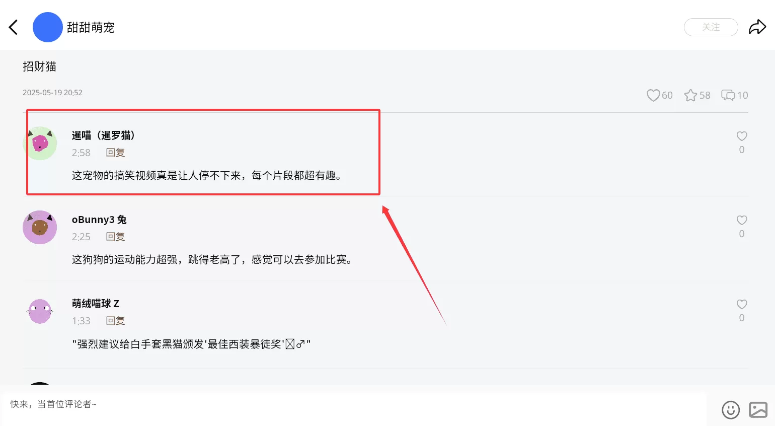 宠会说