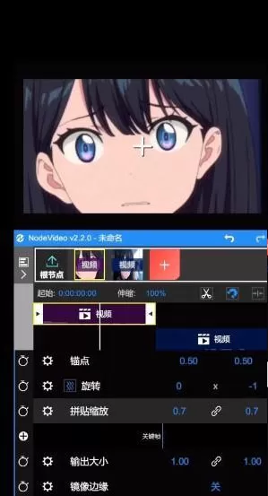 node video中文版