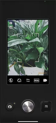 proccd免费版