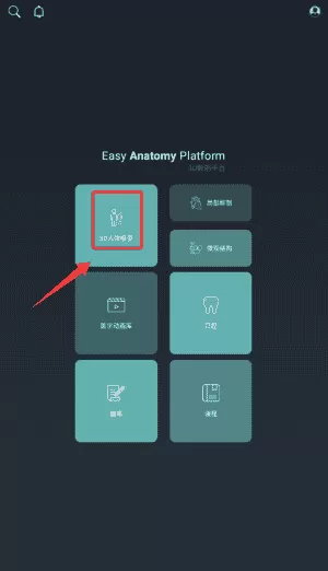 Easy解剖