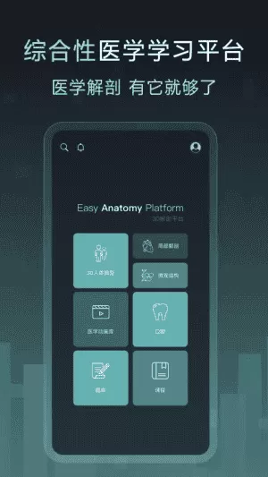 Easy解剖