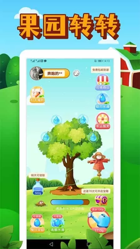 果园转转