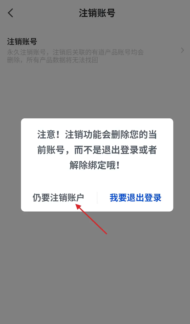 有道领世