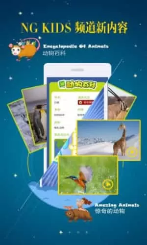 鲨鱼口语