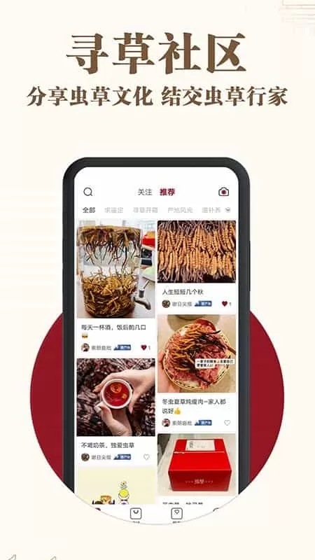寻草