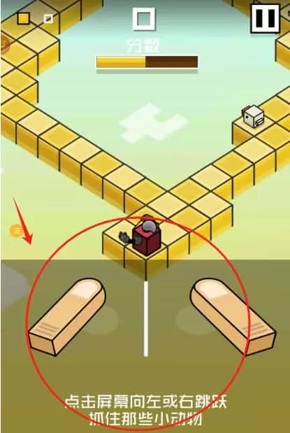 欢乐蹦蹦跳