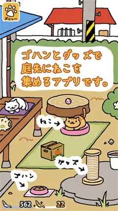 猫咪后院安卓版
