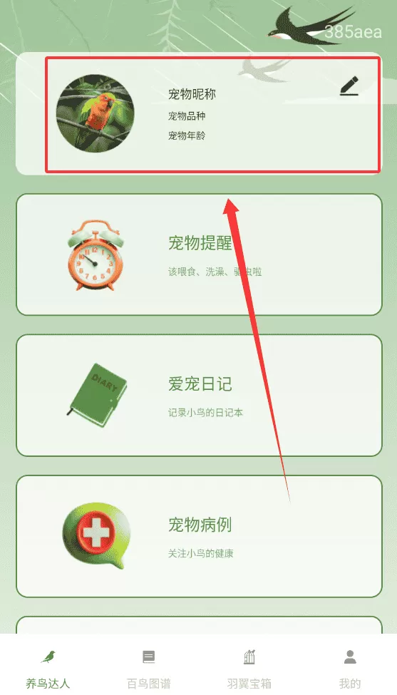 鸟语星球