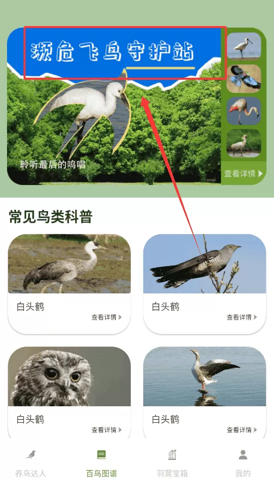 鸟语星球