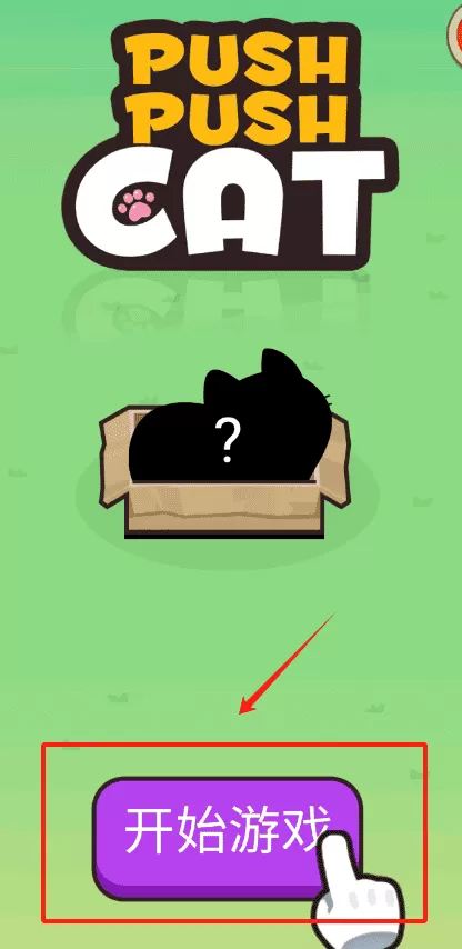 推推猫咪