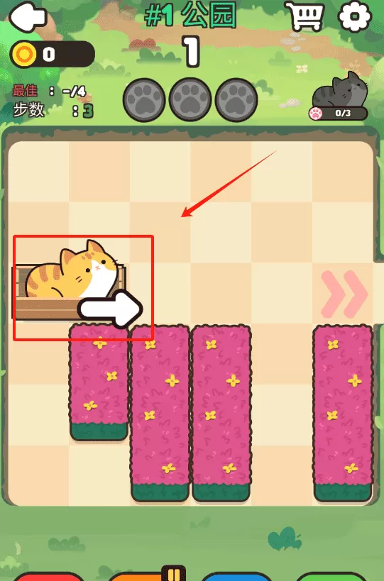 推推猫咪