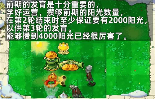 植物大战僵尸杂交版随机盲盒