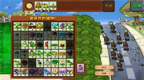 植物大战僵尸hd中国版