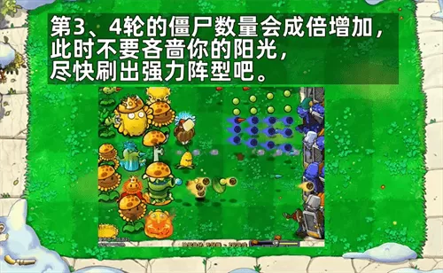 植物大战僵尸杂交版随机盲盒