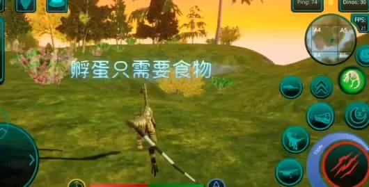 诅咒之岛无限金币