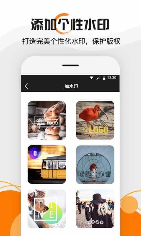 水印大师