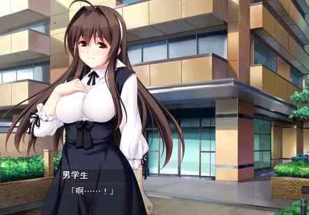 圣天之泪：惨遭背刺的天使 绿色中文版