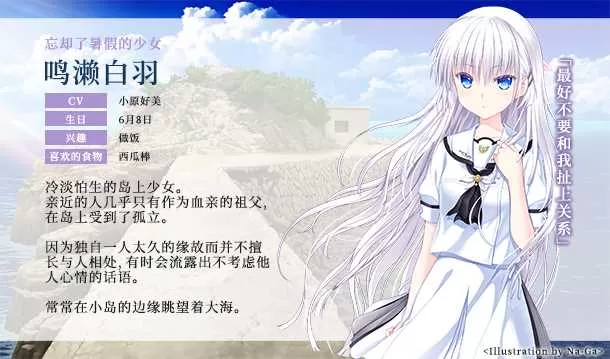 夏日口袋 免安装绿色版